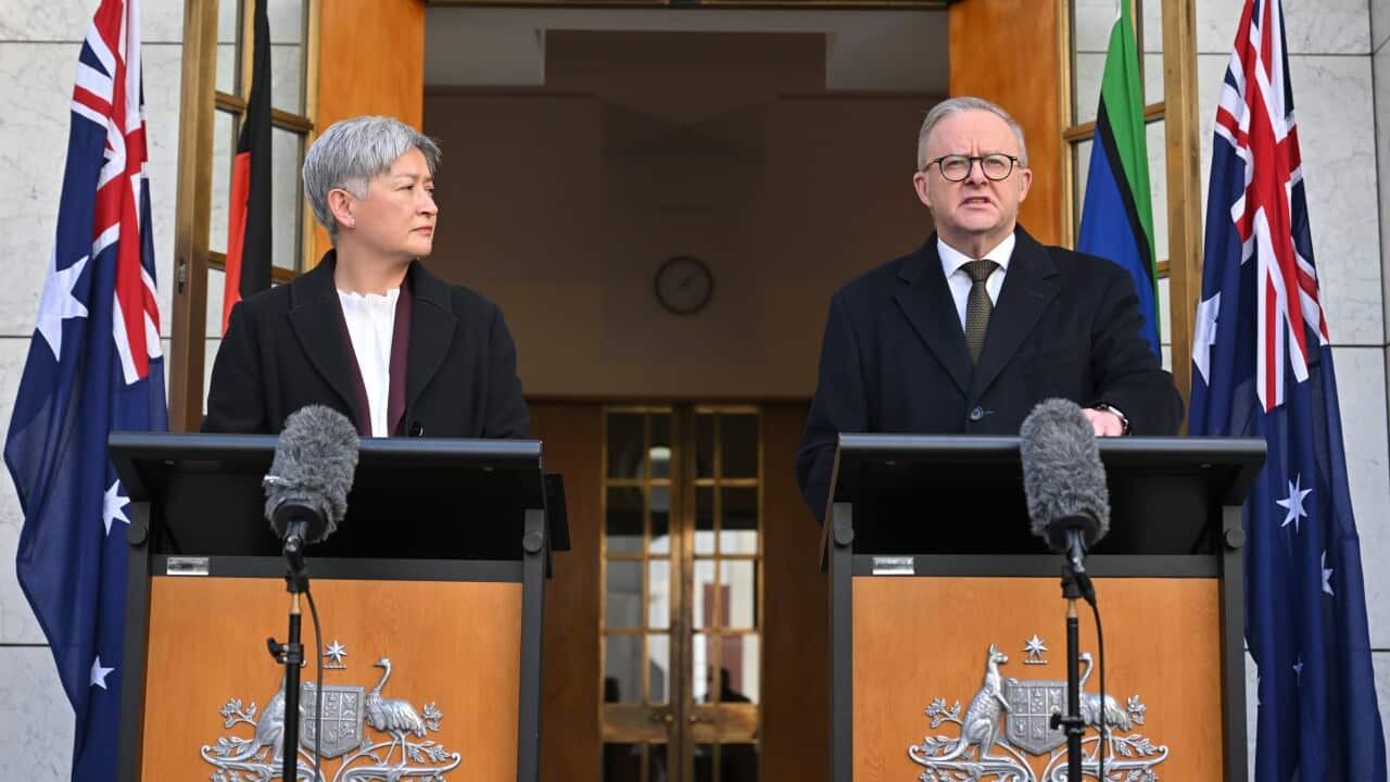 ANTHONY ALBANESE PRESSER