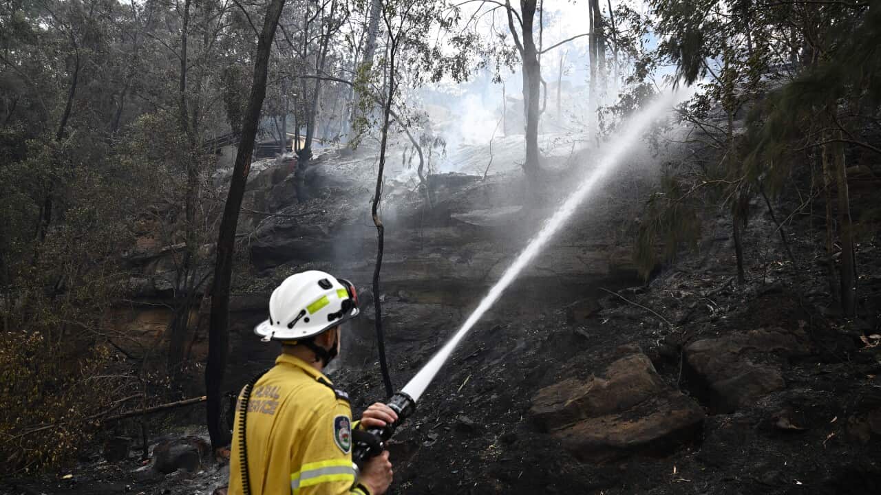 Firefighter aims a stream of water into bushland