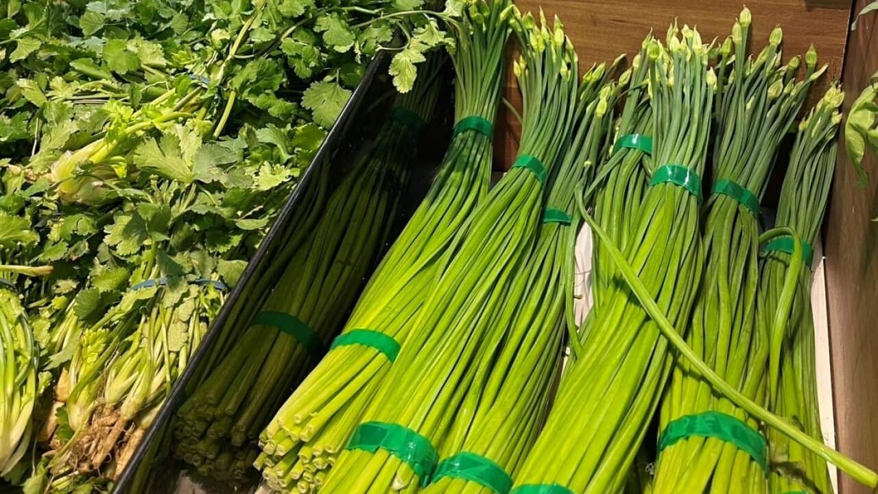 Tomaru124 Chives Flower (2).jpg