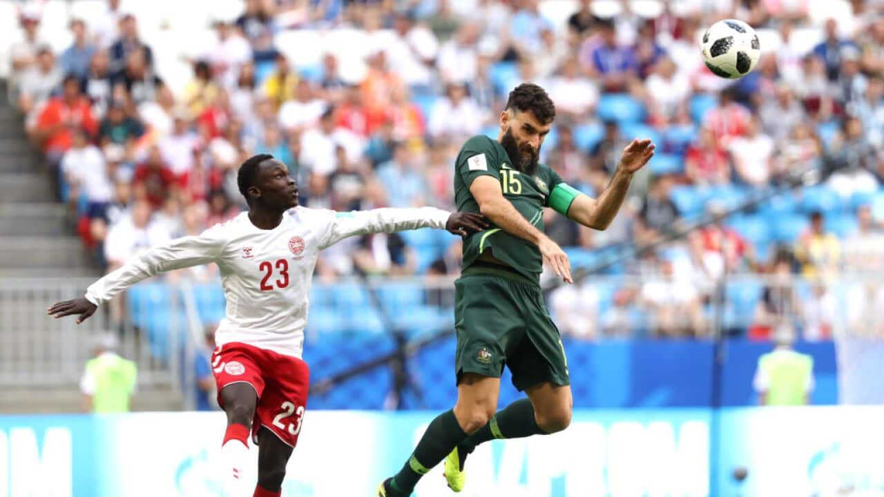 Australia drew 1-1 against Denmark. So, what