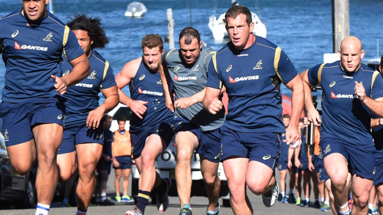 Wallabies coach Michael Cheika (centre) joins his players