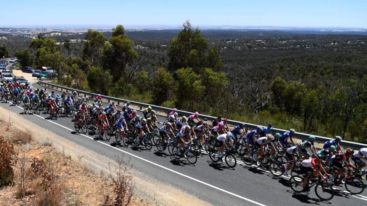 Peloton, stage one of Tour Down Under
