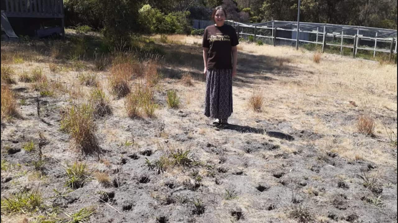 Screen Shot 2024-01-16 at 5.12.14 pm.png