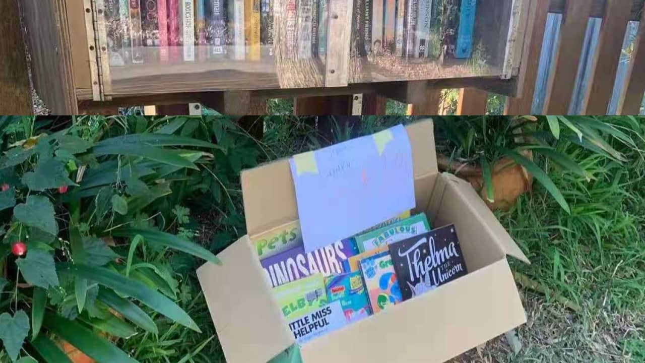 Image for read more article ''