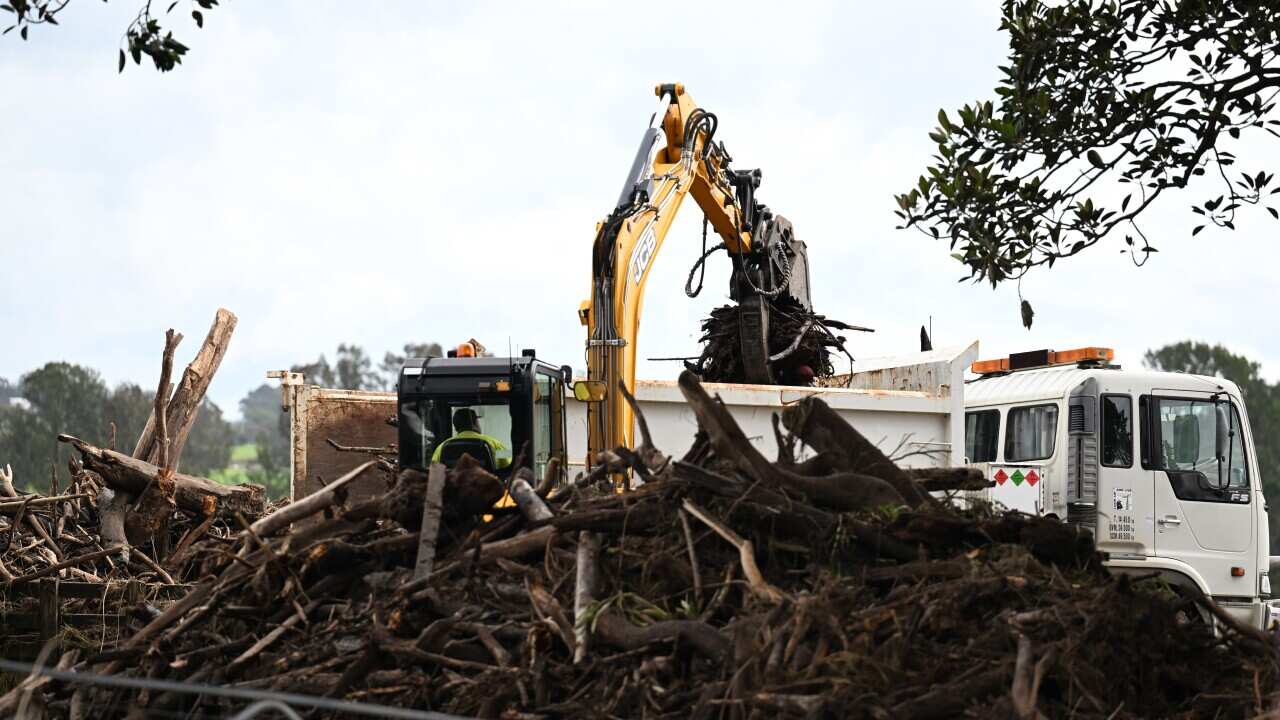An excavator loading debris into a truck. There is a pile of cut up branches in the immediate foreground