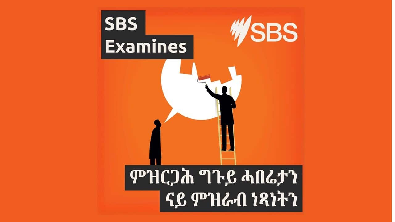 Freedom of Speech - SBS Examines.jpg