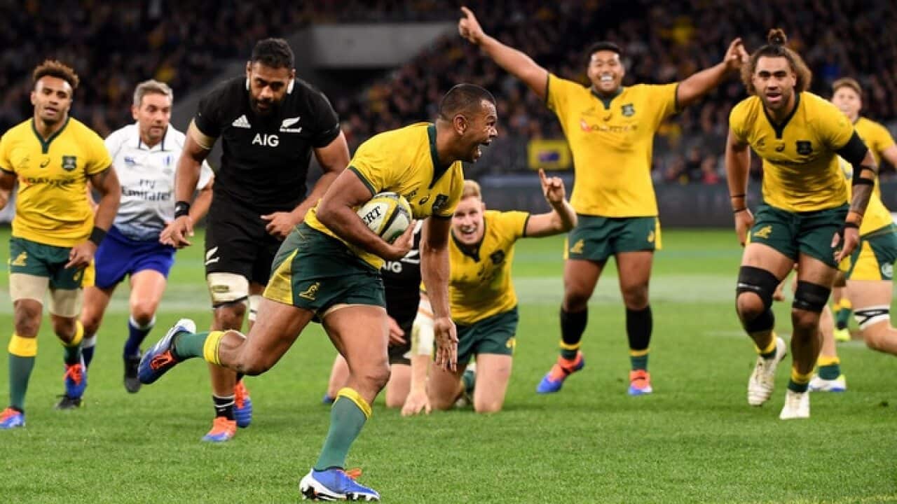 Wallabies celebrate their win over the All Blacks