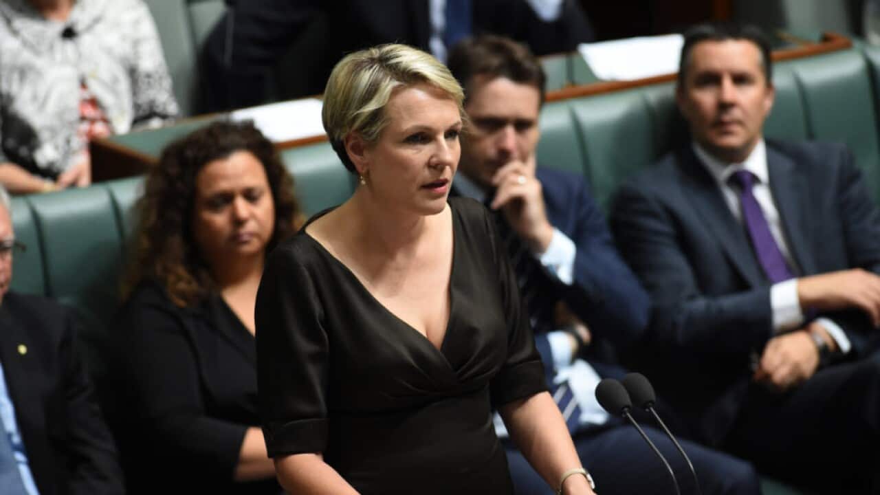 TANYA PLIBERSEK