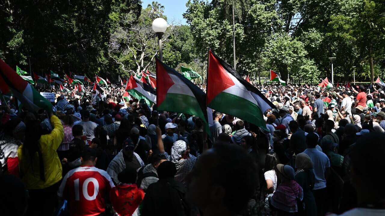 PRO PALESTINE PROTEST SYDNEY