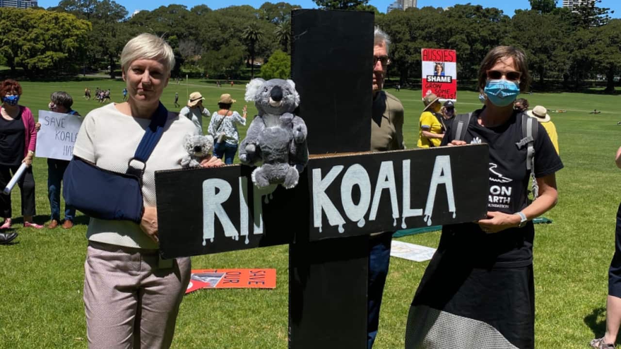 Image for read more article 'READ MORE'