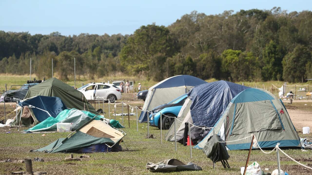WET WEATHER SPLENDOUR IN THE GRASS AFTERMATH