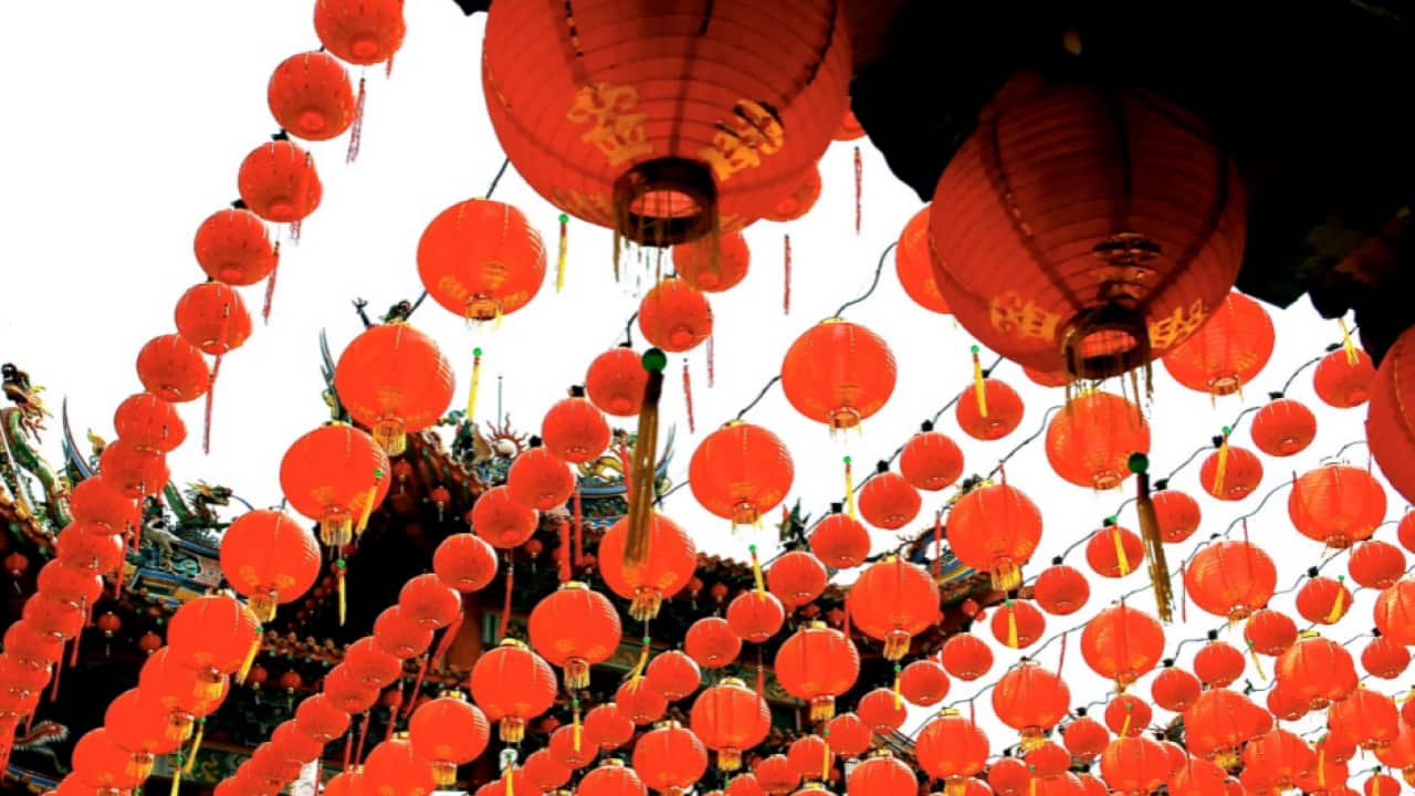 Image for read more article ''