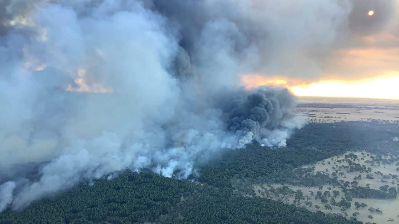 Supplied image of the Coles fire, near Lucindale in the lower south-east region of South Australia, Friday, 21 January, 2022.