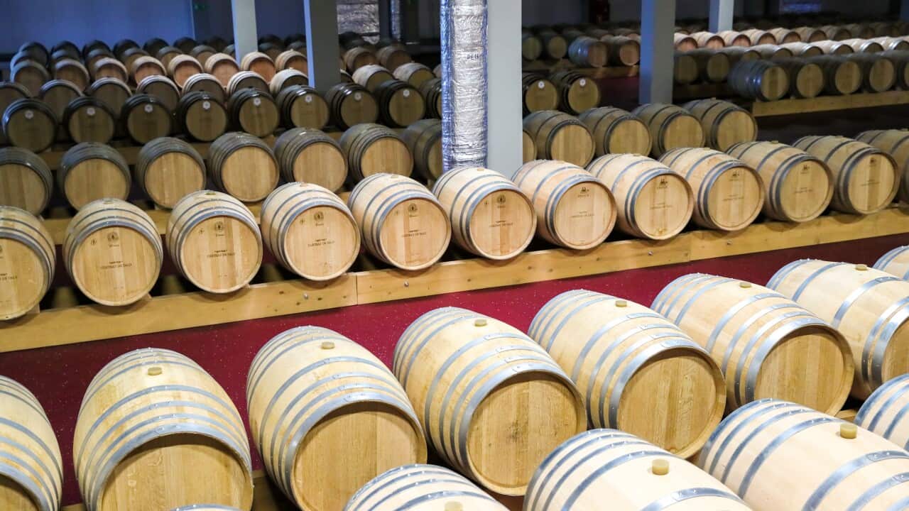 Image for read more article '更多內容'