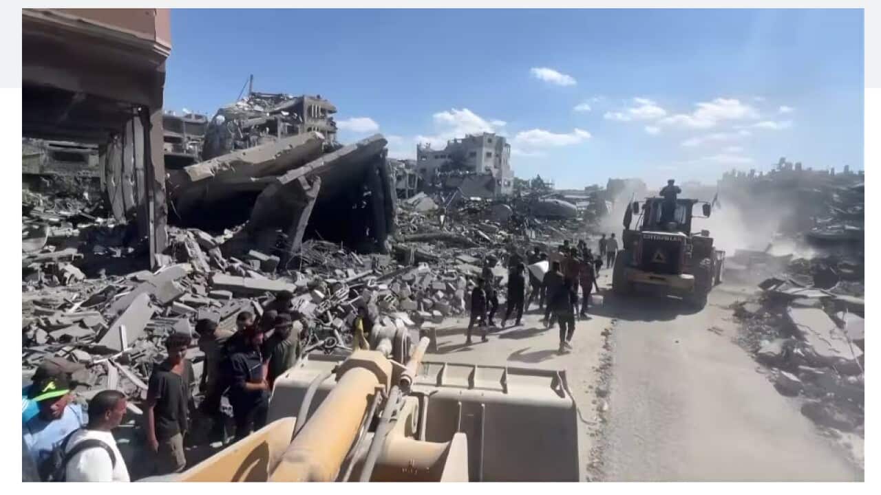 Gaza SBS News.jpg