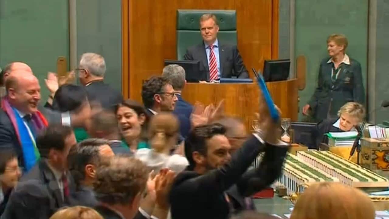 The moment in 2017 same sex marriage became legal in Australia (SBS)