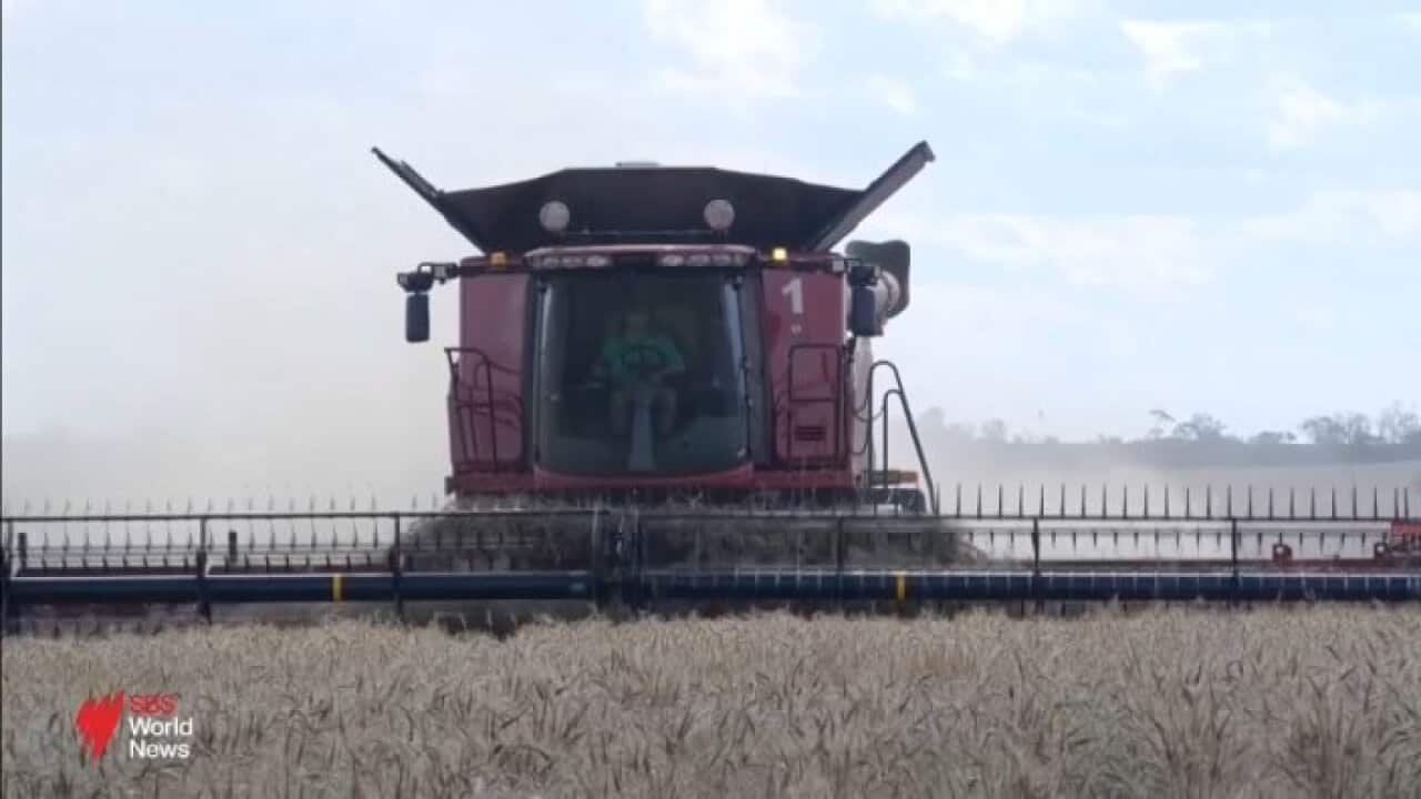 Middle East War hits home as panic buying threatens life in regional Australia