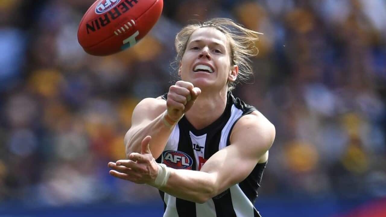 Tom Langdon of Collingwood