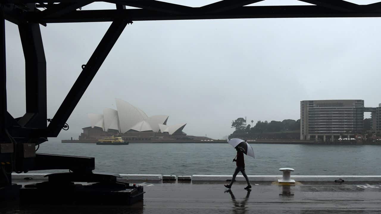 A man walks past the Sydney Opera House during wet weather at Circular Quay in Sydney.