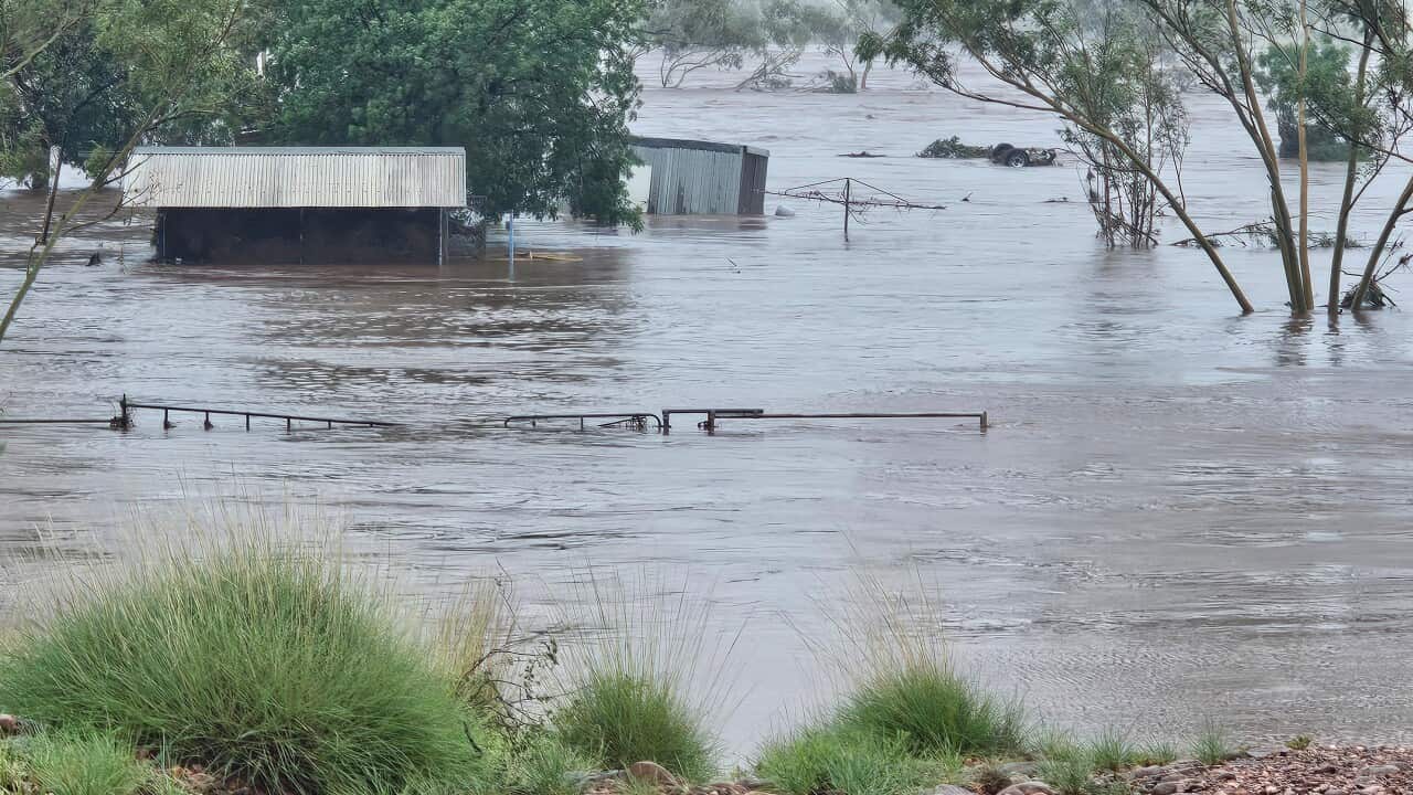 WEATHER TROPICAL CYCLONE ZELIA