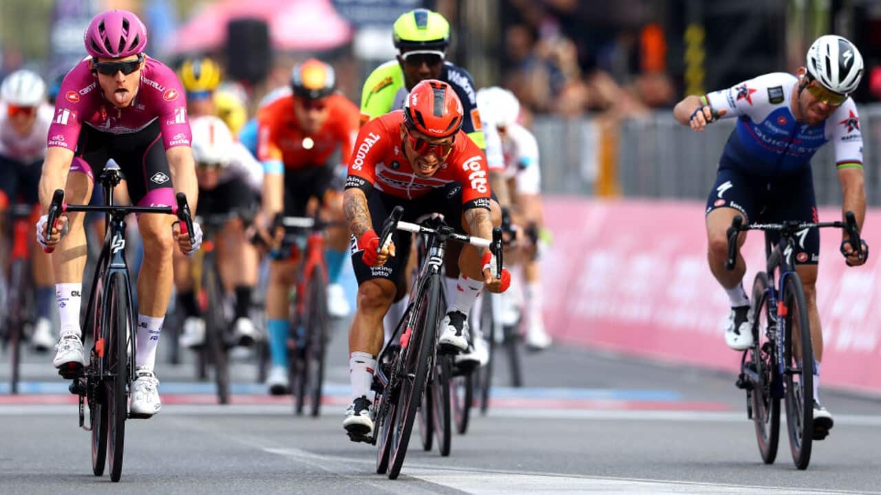 Caleb Ewan contests a sprint