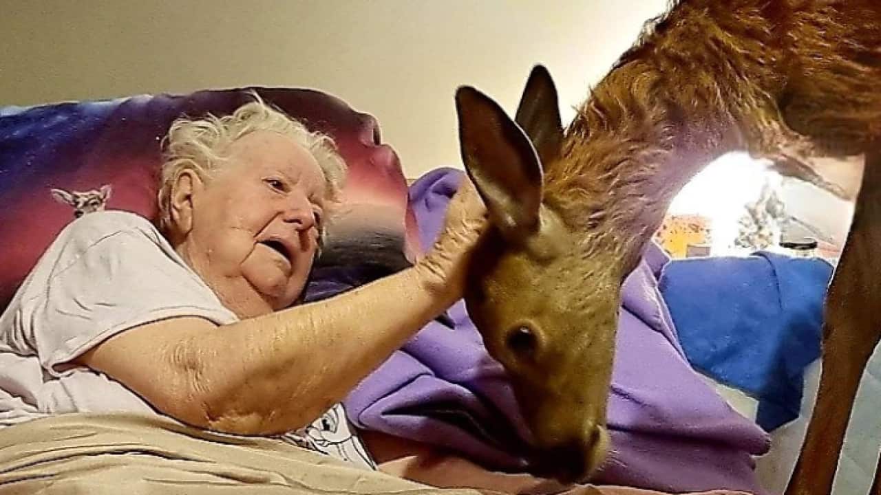 Image for read more article ''