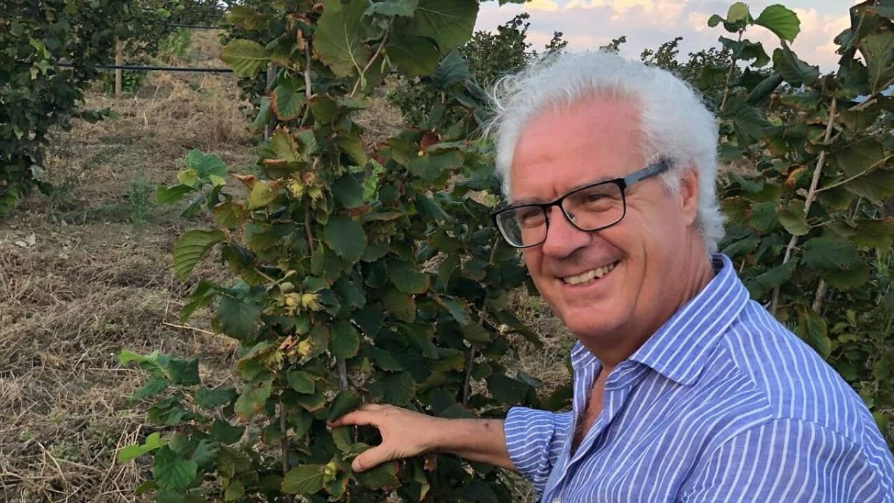 Courtesy of Rocco Perna