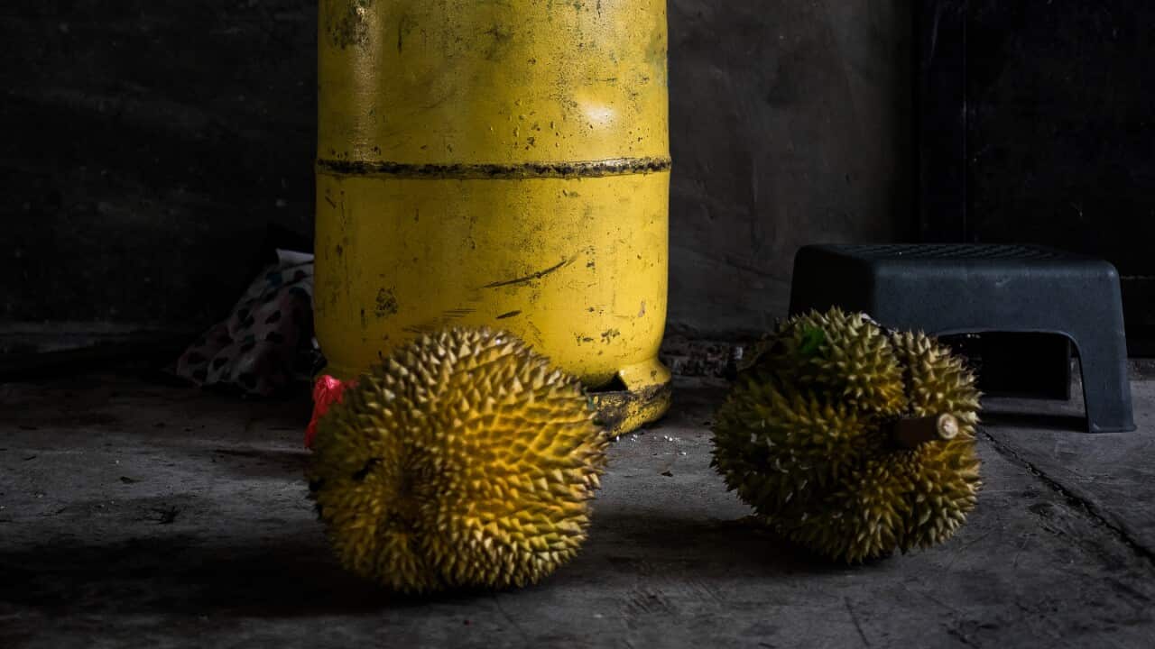 A gas cylinder and two durians