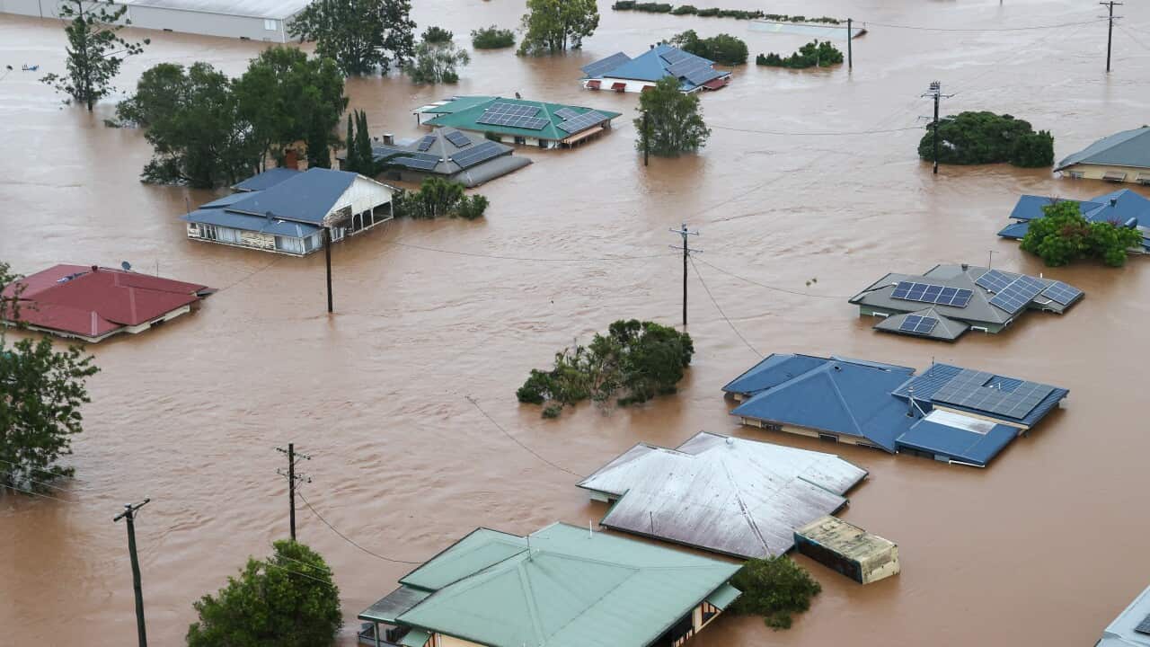 Image for read more article 'READ MORE'