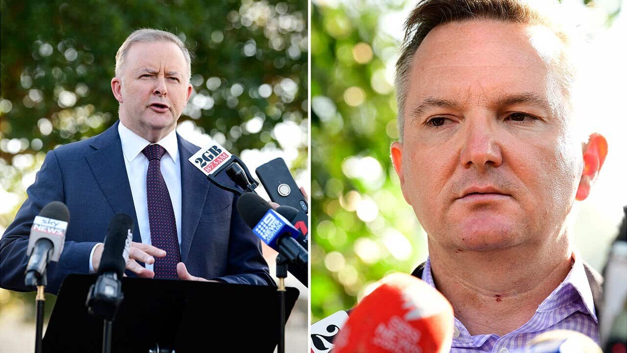 Penny Wong looks set to endorse Anthony Albanese as the "best person" to become the party's next national leader.