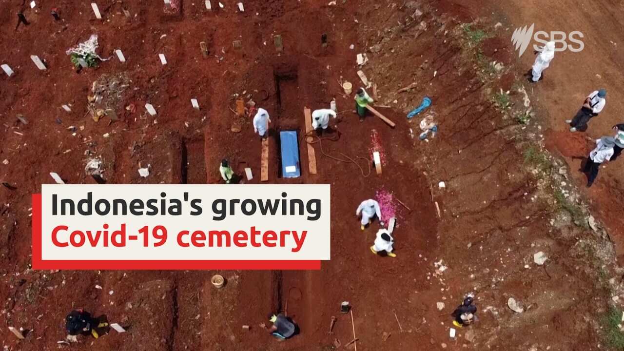 Drone footage of Indonesia's expanding cemetery due to Covid-19 deaths