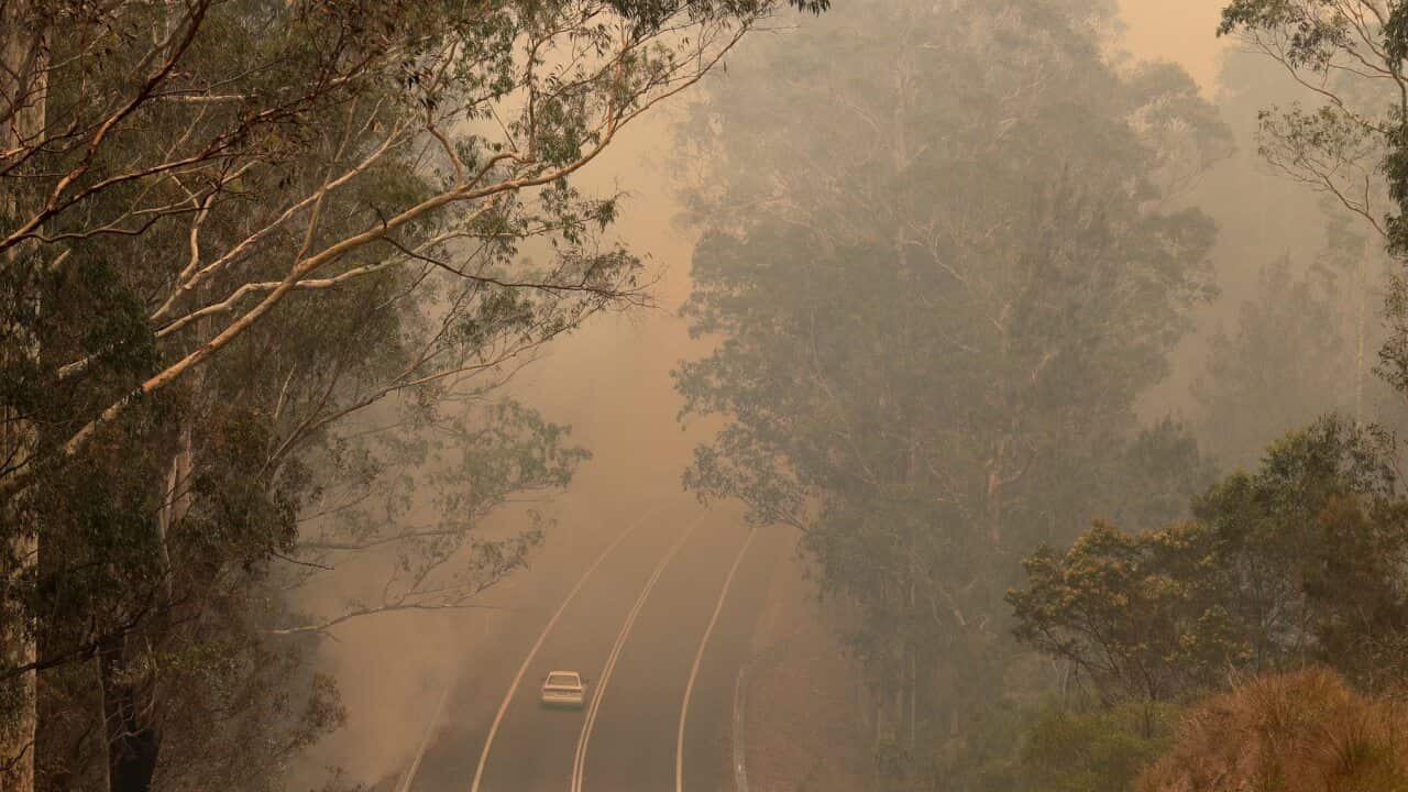 Smoke from wildfires, 4 January 2020.