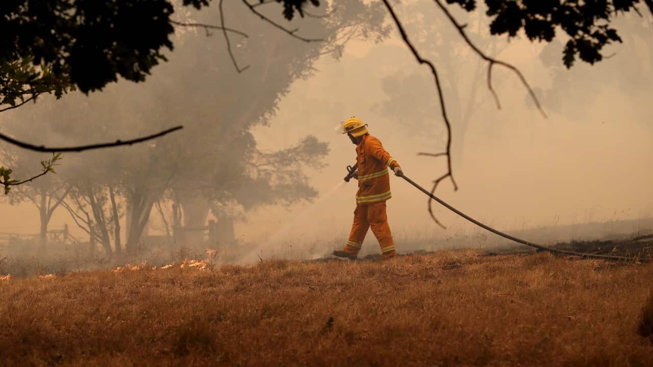 A CFS firefighter battles a fire as it runs across a paddock near a home on Ridge Road at Woodside in the Adelaide Hills.