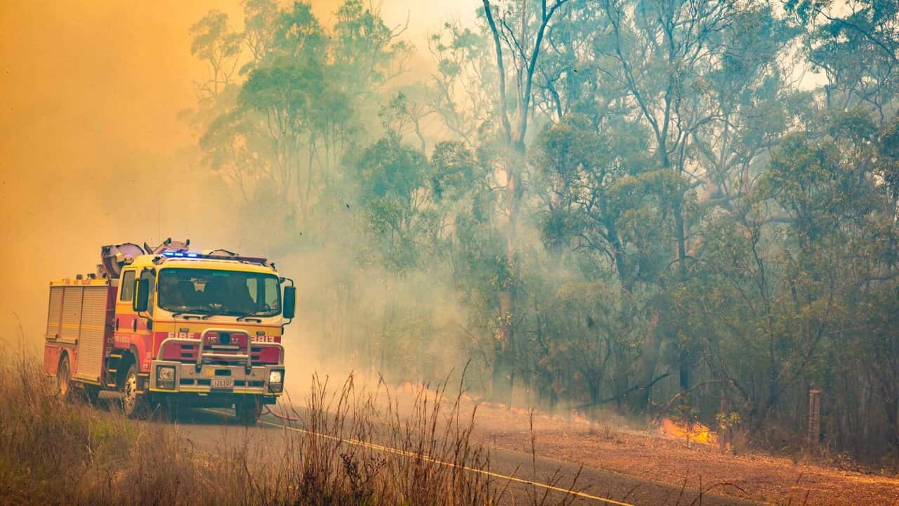 QUEENSLAND BUSHFIRES