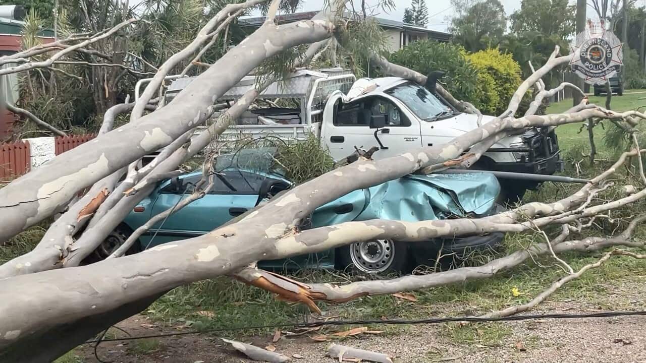 Fallen power line and vehicles crushed by trees after a cyclone.