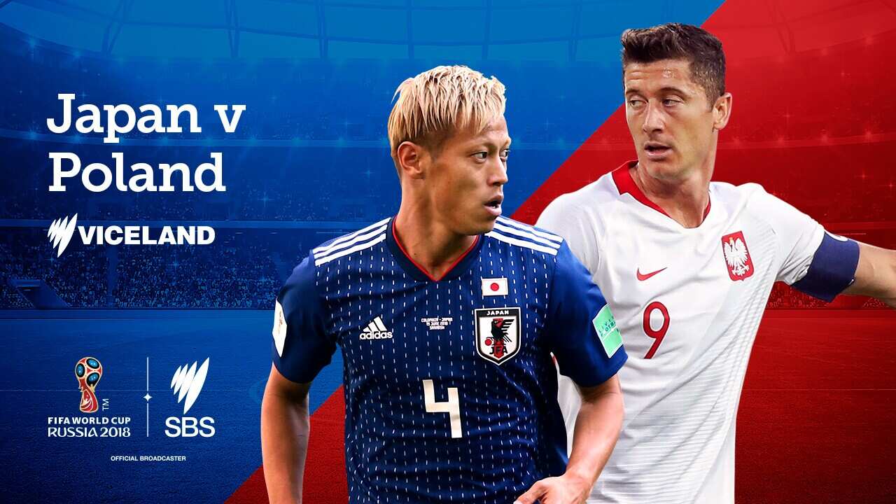 Poland Japan match
