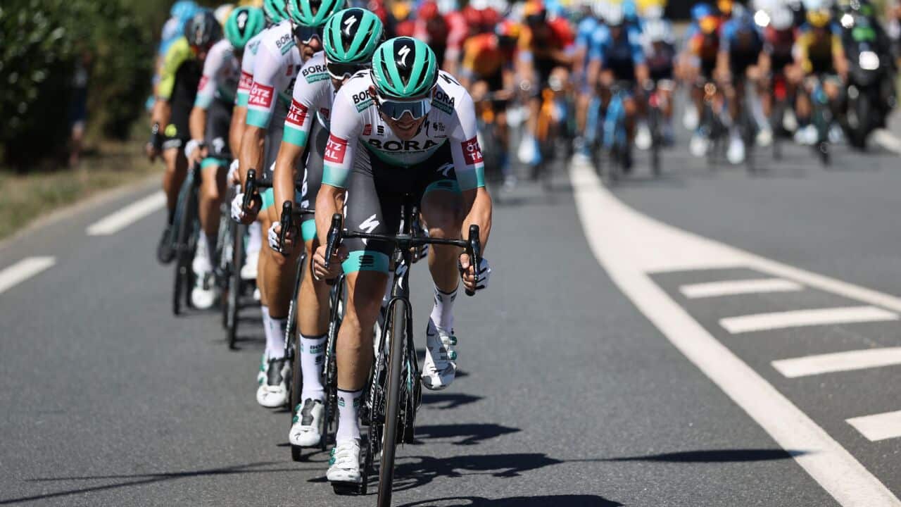 Image for read more article 'READ MORE'