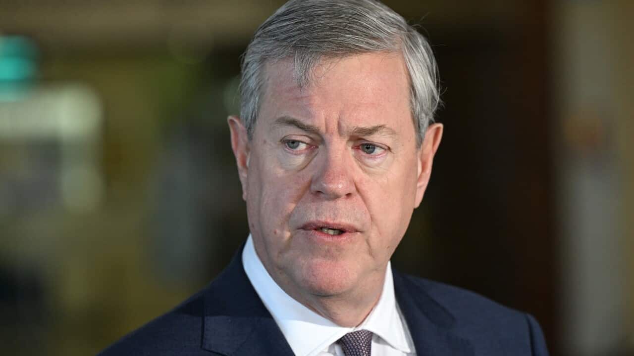 Image for read more article 'Δείτε ακόμη'