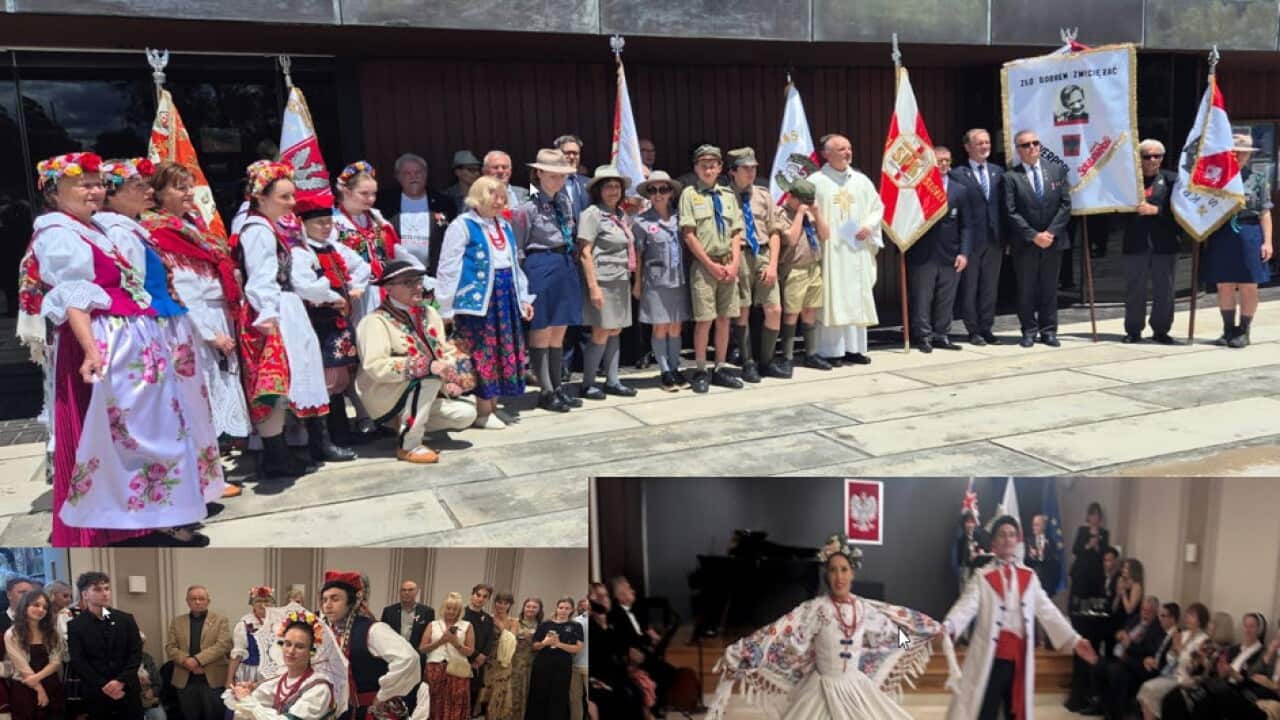 calosc Obchodzy 11 listopad sydney.jpg