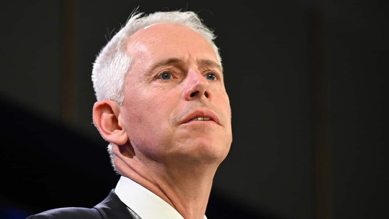 Skills Minister Andrew Giles says vocational education and training should be equally valued as universities when it comes career opportunities