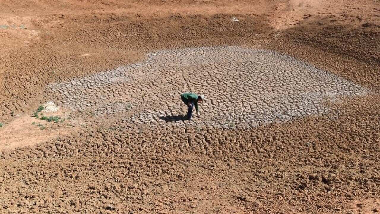 A pastoralist stands at the bottom of one of his empty dams.