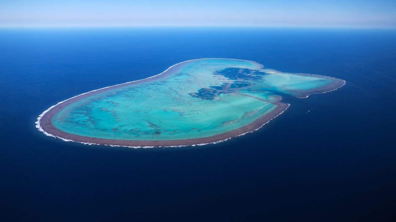 Image for read more article 'READ MORE'