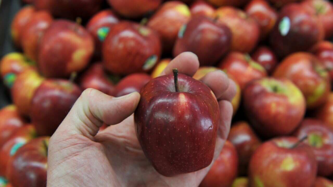 Apples seen at a fruit store