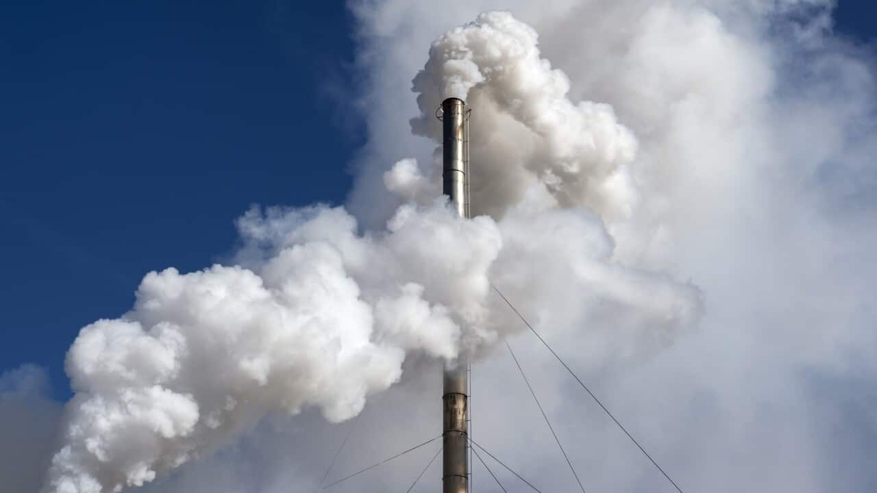 Industrial factory chimney emitting smoke and gas pollution into the atmosphere (Getty)