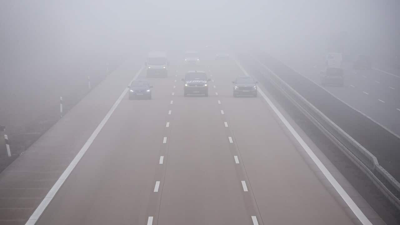 Fog in road traffic