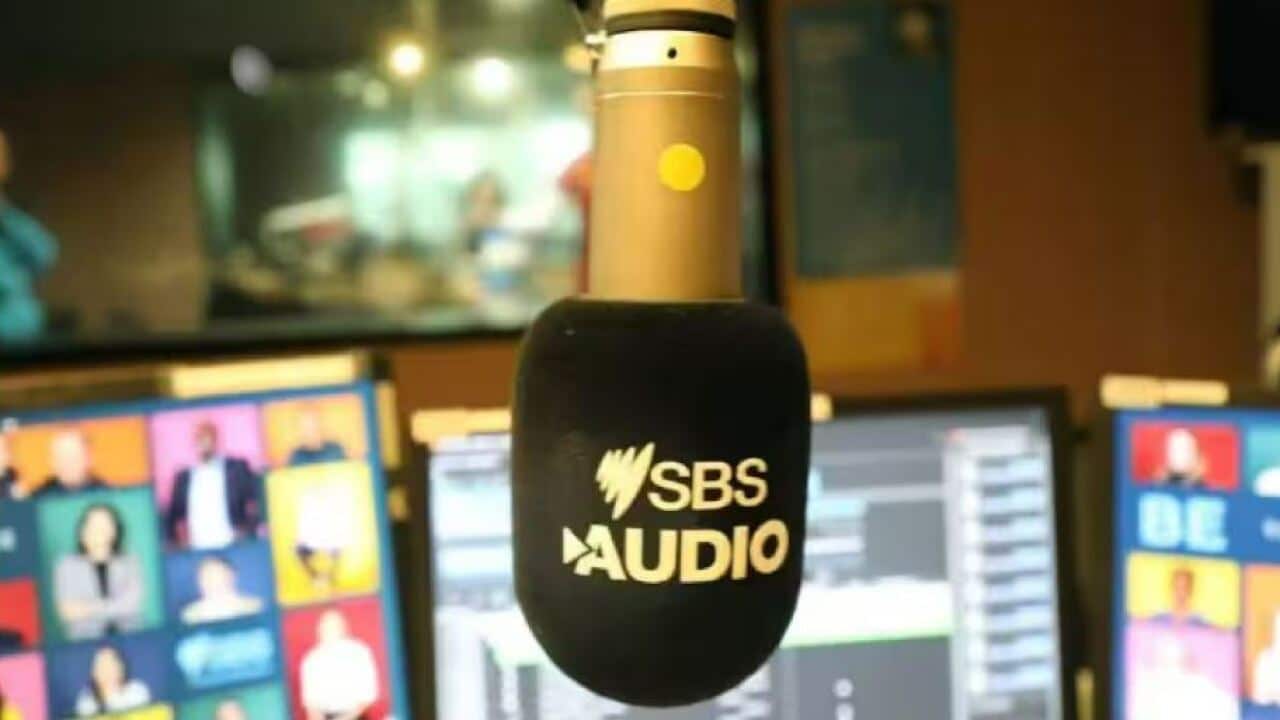 SBS Audio.JPG