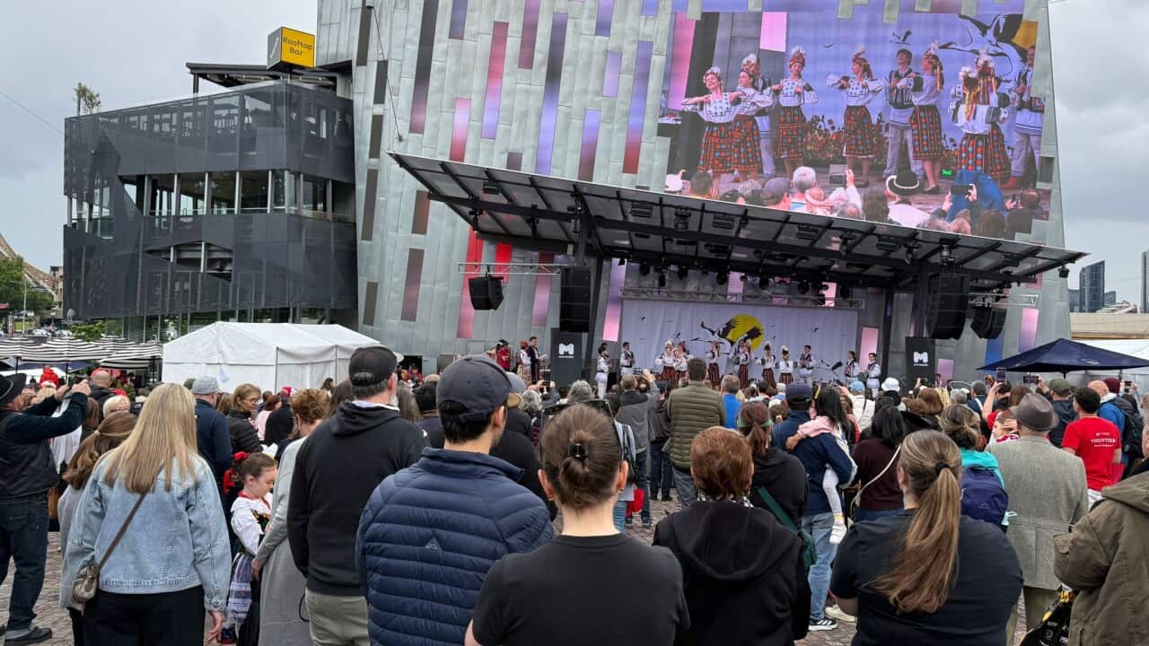 Fede square cover photo best.jpg