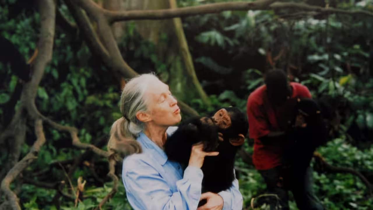 Image for read more article ''