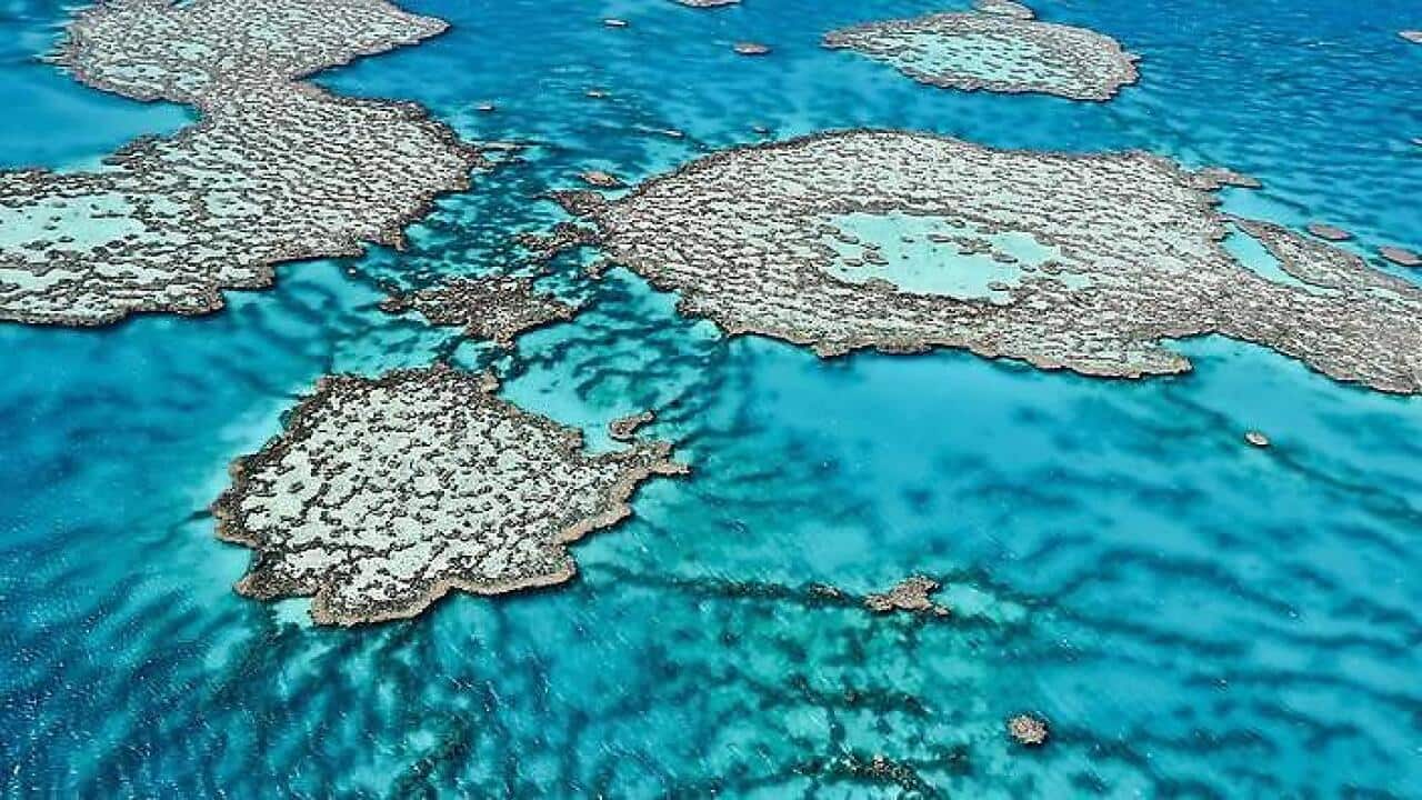 Great Barrier Reef 