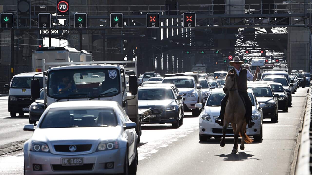 Beef farmer Glenn Morris rides across the Sydney Harbour Bridge